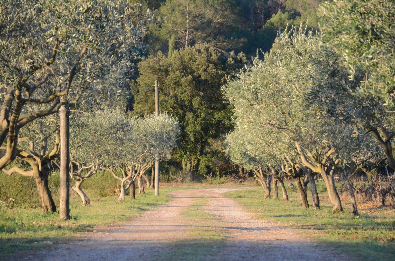 Domaine Hemmitage Daire Salernes Dış mekan fotoğraf