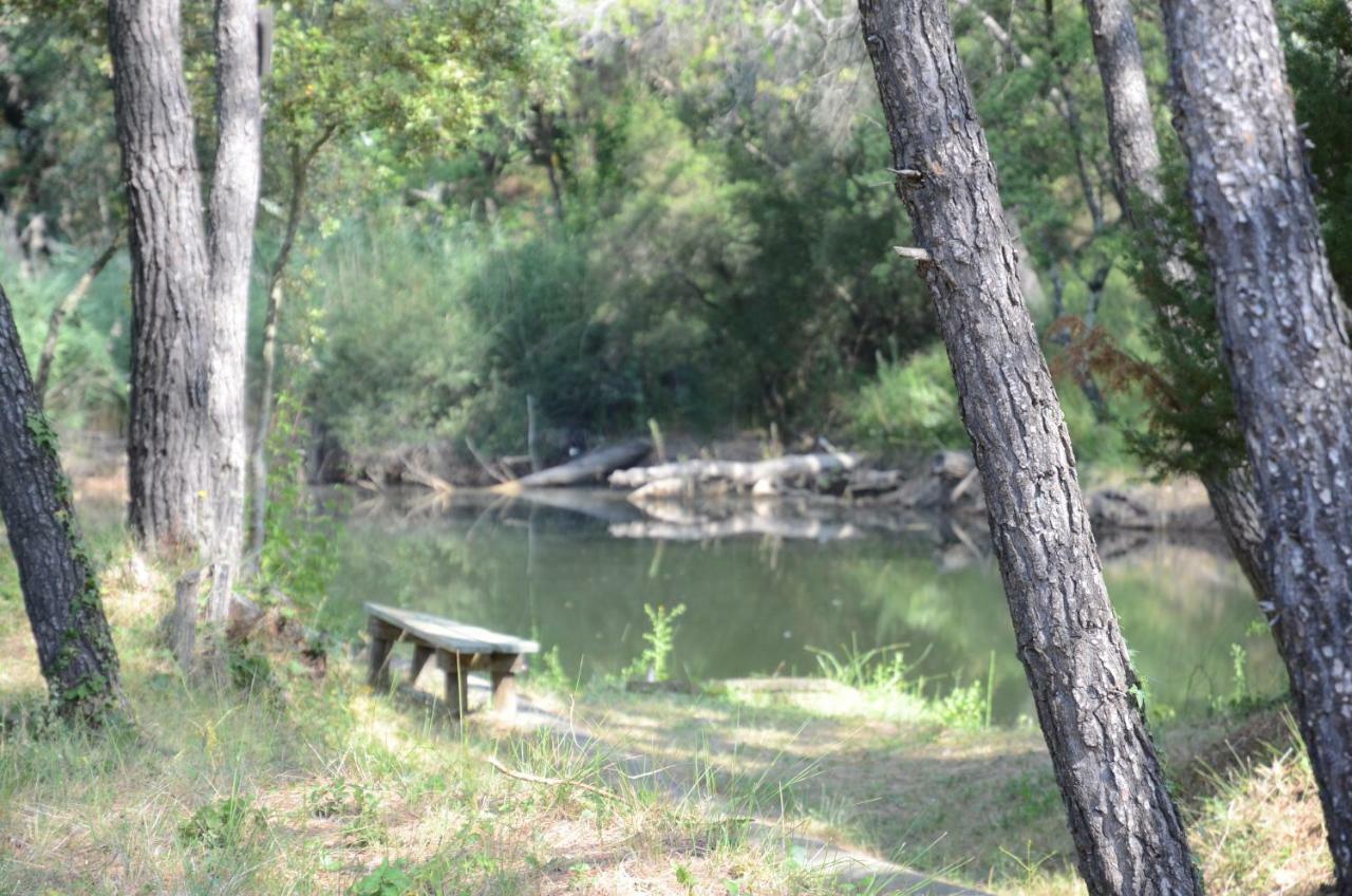 Domaine Hemmitage Daire Salernes Dış mekan fotoğraf