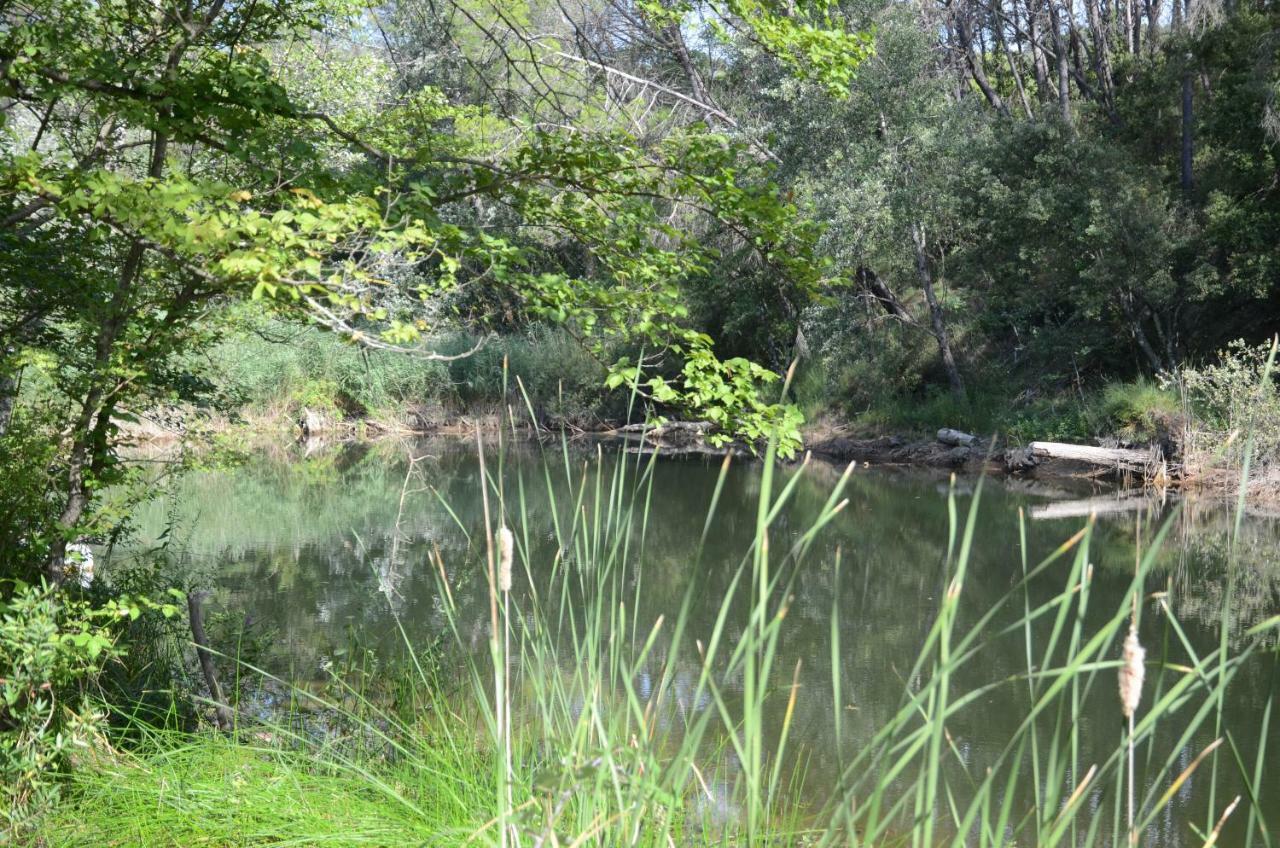 Domaine Hemmitage Daire Salernes Dış mekan fotoğraf
