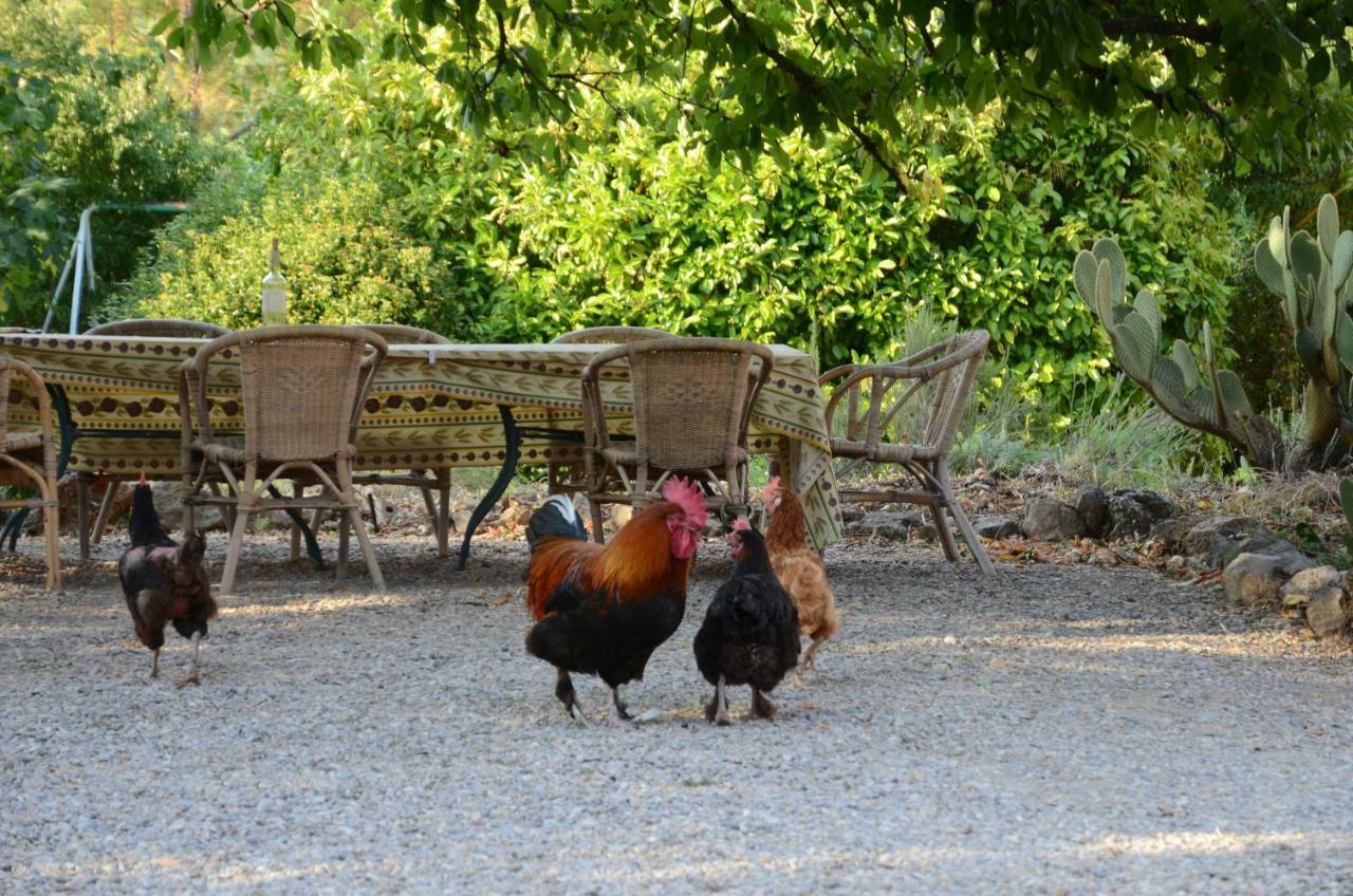 Domaine Hemmitage Daire Salernes Dış mekan fotoğraf