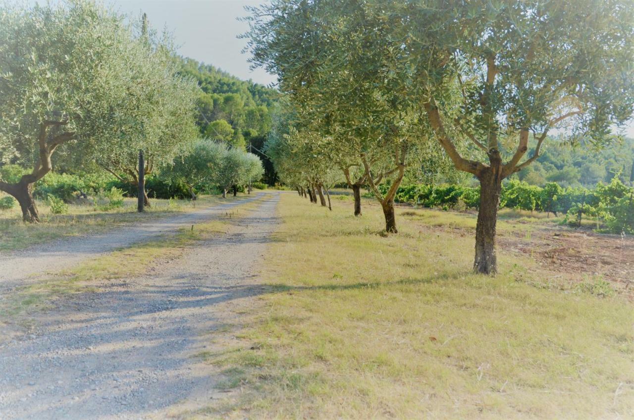 Domaine Hemmitage Daire Salernes Dış mekan fotoğraf