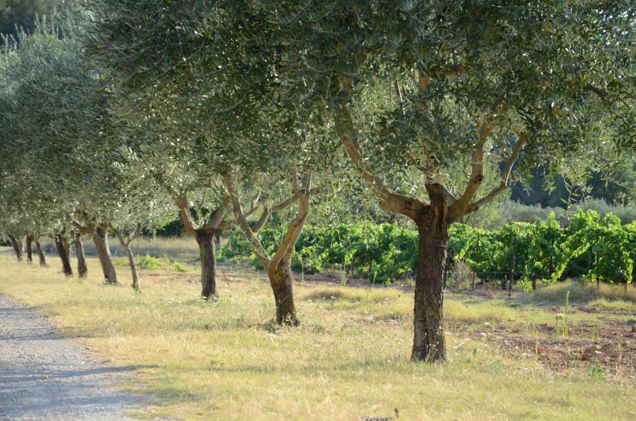 Domaine Hemmitage Daire Salernes Dış mekan fotoğraf